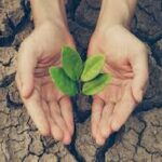 Climat