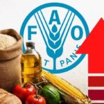 Indice FAO des prix alimentaires